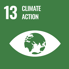 SDG 13 Climate Action Alignment - Initiative Beyond Limits (IBL) Tanzania NGO