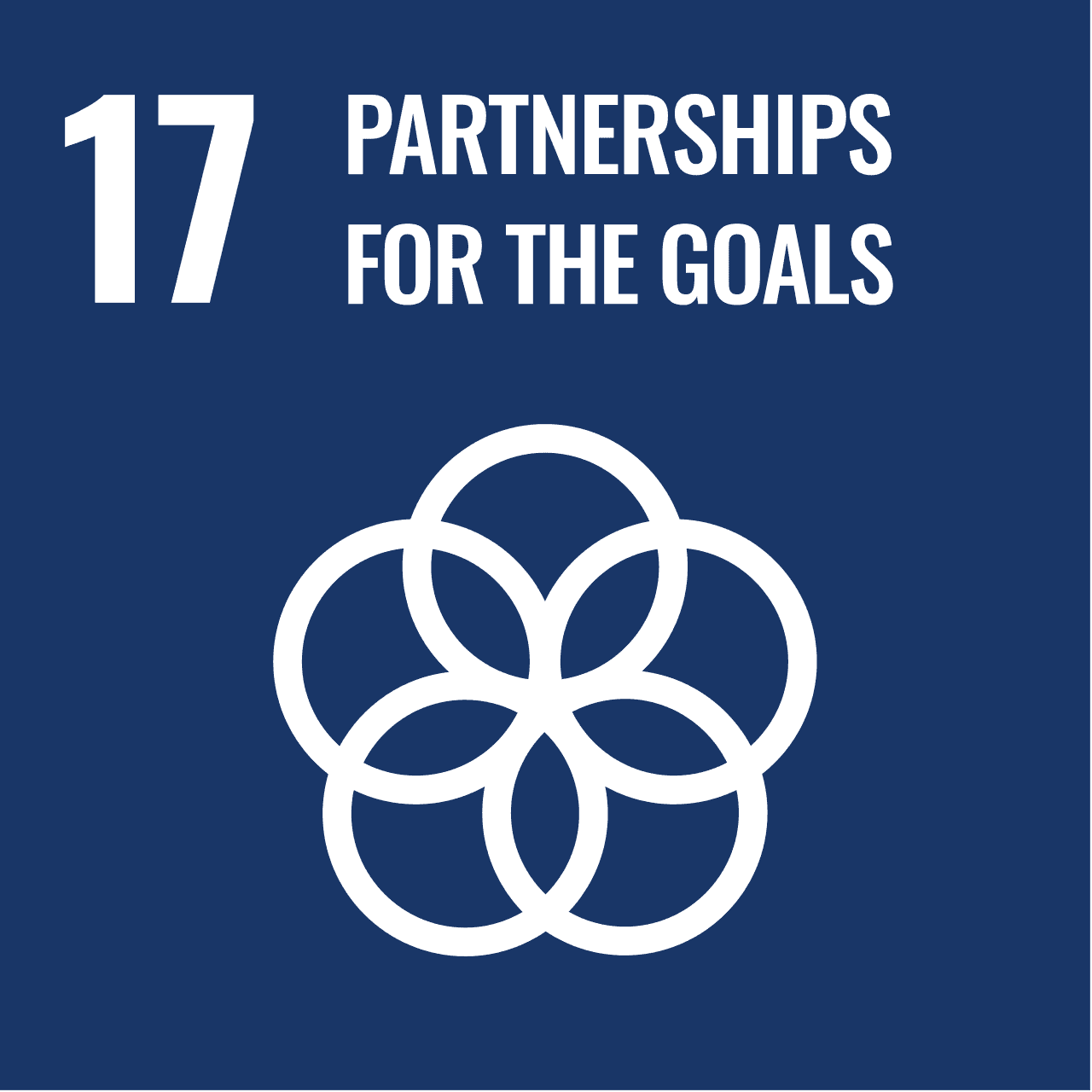 SDG 17 Partnerships for the Goals Alignment - Initiative Beyond Limits (IBL) Tanzania NGO