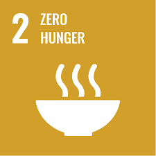 SDG 2 Zero Hunger Alignment - Initiative Beyond Limits (IBL) Tanzania NGO
